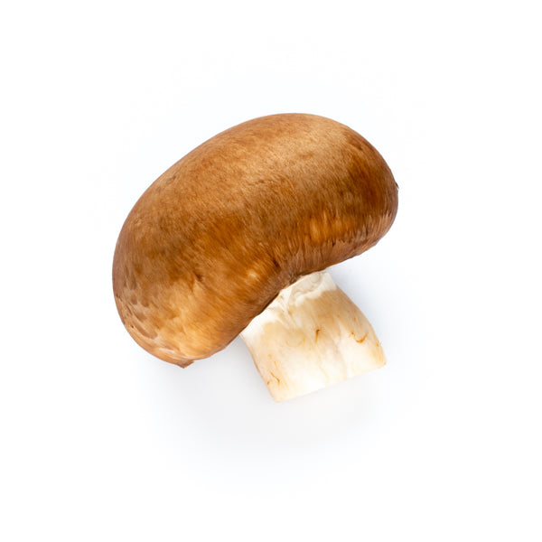 Agaricus Blazei Mushroom Extract (60 ml) | Powerful.ie